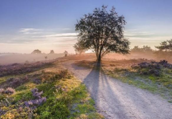 Vila Een Gezellige Chalet Met Zonnige Buitenruimte Op De Veluwe! Putten Exteriér fotografie